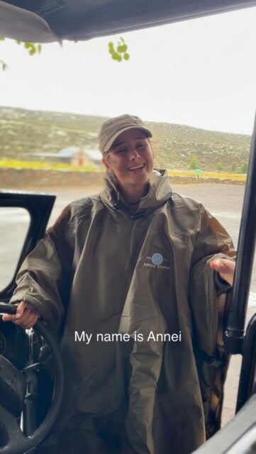 Dag 1 van onze trip door Zuid-Afrika start met deze fantastische cheeta tracking in de Karoo.

Annei neemt ons mee en vertelt ons alle ins & outs over Stupendous Man, een van de vier cheeta’s op de lodge.

De vier cheeta’s leven hier in een beschermd gebied waar ze worden gevolgd om ze te beschermen en de soort in stand te houden.

En zelfs in de regen was het waanzinnig om dit van zo dichtbij mee te maken 🧡

#zuidafrika #karoo #cheeta #travel