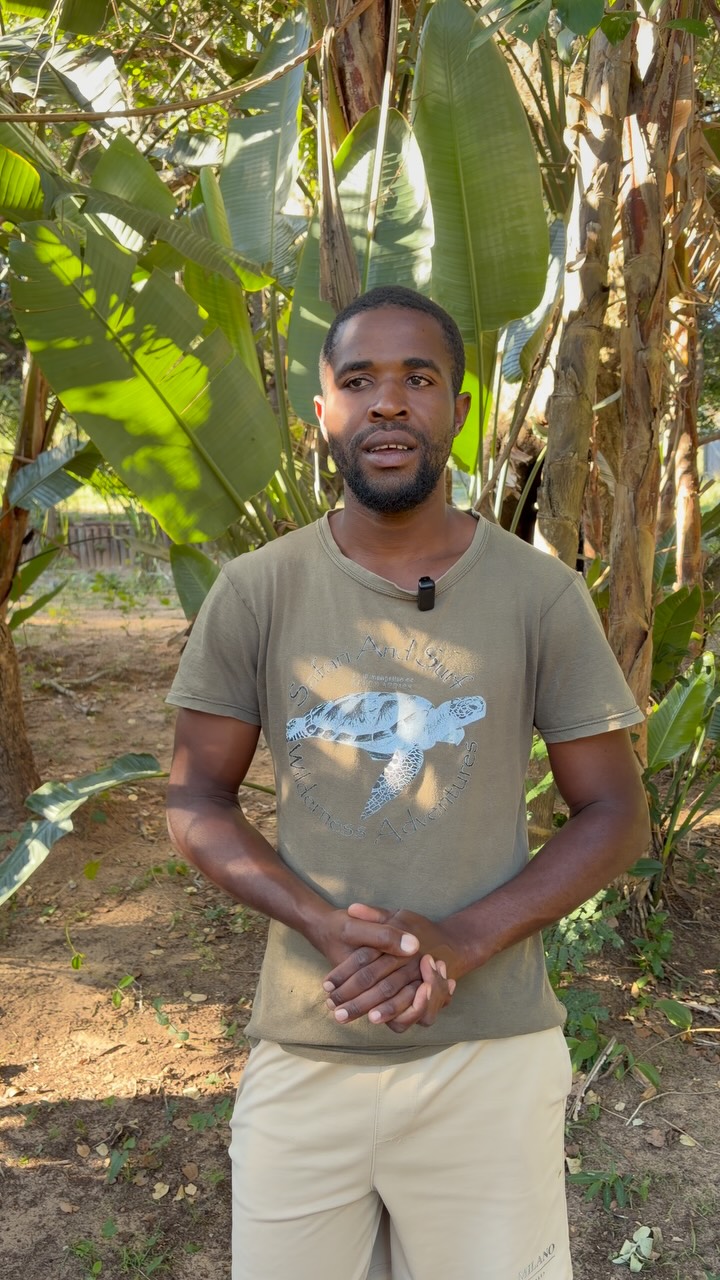 Meet Fanu, eigenaar van Miggo’s Camp in Kosi Bay. Hier bouwt hij aan een prachtige ecosysteem voor zowel het toerisme as voor de lokale community.